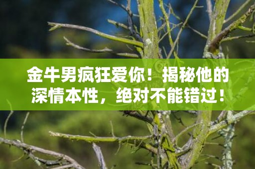 金牛男疯狂爱你！揭秘他的深情本性，绝对不能错过！