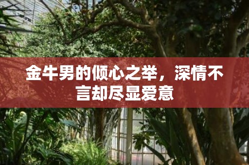 金牛男的倾心之举，深情不言却尽显爱意
