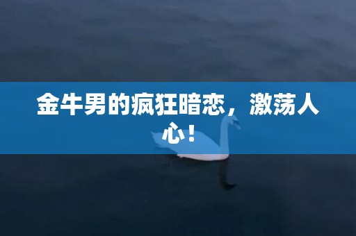 金牛男的疯狂暗恋，激荡人心！