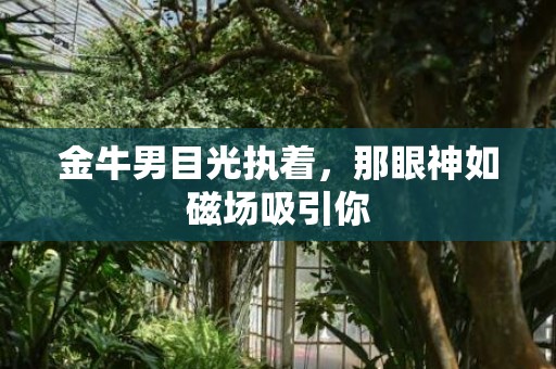 金牛男目光执着，那眼神如磁场吸引你