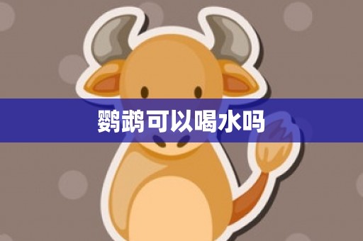 鹦鹉可以喝水吗