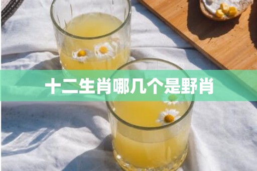 十二生肖哪几个是野肖