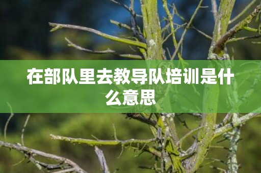 在部队里去教导队培训是什么意思