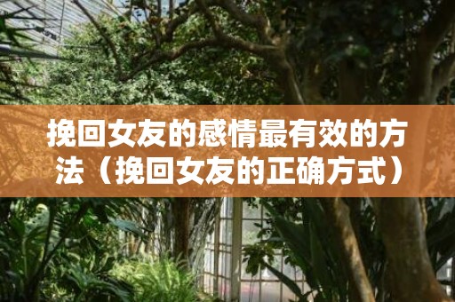 挽回女友的感情最有效的方法（挽回女友的正确方式）