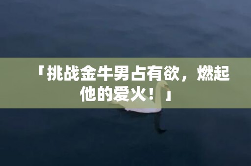 「挑战金牛男占有欲，燃起他的爱火！」