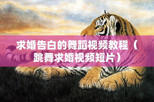 求婚告白的舞蹈视频教程（跳舞求婚视频短片）