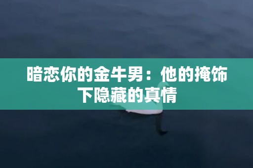 暗恋你的金牛男：他的掩饰下隐藏的真情