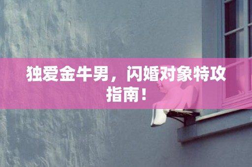 独爱金牛男，闪婚对象特攻指南！