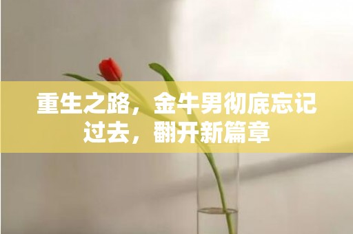 重生之路，金牛男彻底忘记过去，翻开新篇章
