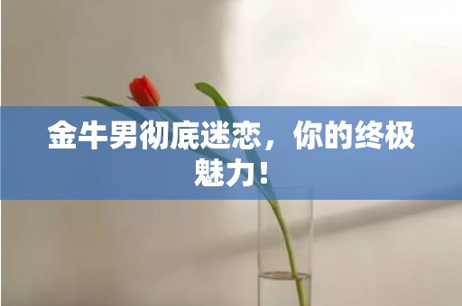 金牛男彻底迷恋，你的终极魅力！