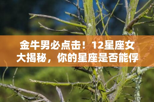 金牛男必点击！12星座女大揭秘，你的星座是否能俘获他的心？