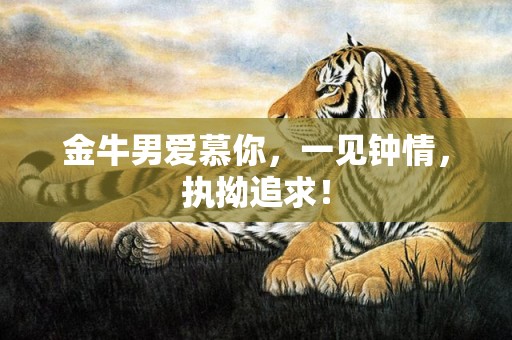 金牛男爱慕你，一见钟情，执拗追求！