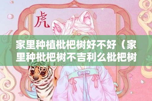 家里种植枇杷树好不好（家里种枇杷树不吉利么枇杷树家里种好不好）