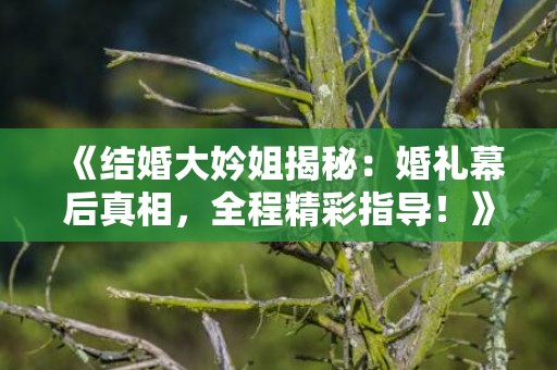 《结婚大妗姐揭秘：婚礼幕后真相，全程精彩指导！》