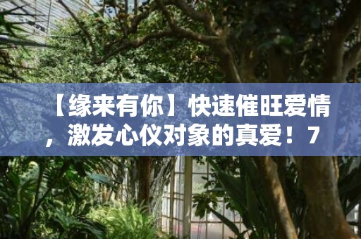 【缘来有你】快速催旺爱情，激发心仪对象的真爱！70%的成功率让你在转眼间拥有爱情！