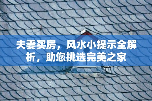 夫妻买房，风水小提示全解析，助您挑选完美之家