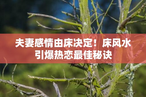 夫妻感情由床决定！床风水引爆热恋最佳秘诀