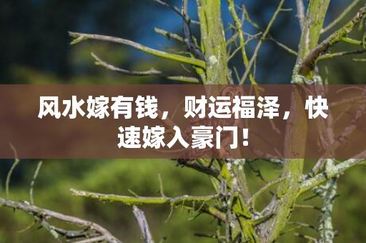 风水嫁有钱，财运福泽，快速嫁入豪门！