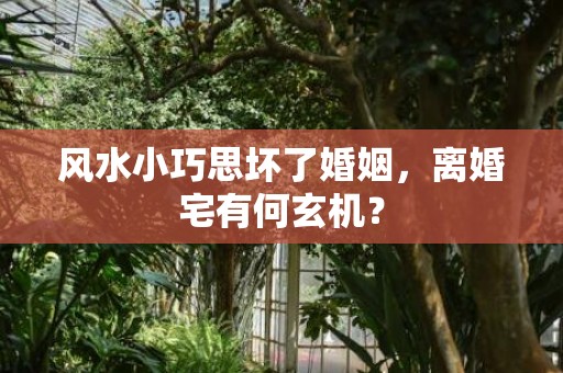 风水小巧思坏了婚姻，离婚宅有何玄机？