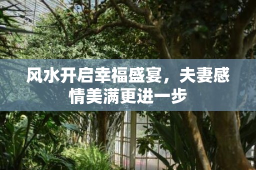 风水开启幸福盛宴，夫妻感情美满更进一步