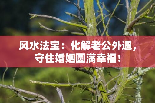风水法宝：化解老公外遇，守住婚姻圆满幸福！