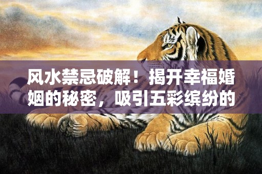 风水禁忌破解！揭开幸福婚姻的秘密，吸引五彩缤纷的爱情！