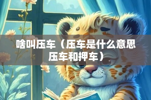 啥叫压车（压车是什么意思压车和押车）