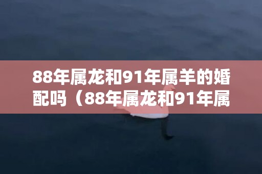 88年属龙和91年属羊的婚配吗（88年属龙和91年属羊的婚姻配吗88年属龙的和91年属羊的配...）