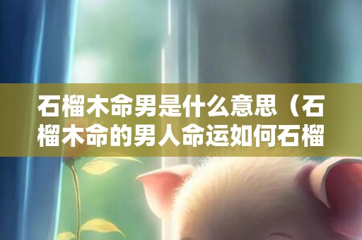 石榴木命男是什么意思（石榴木命的男人命运如何石榴木命女人命运）