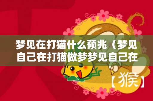 梦见在打猫什么预兆（梦见自己在打猫做梦梦见自己在打猫）