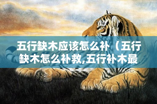 五行缺木应该怎么补（五行缺木怎么补救,五行补木最好的方法）