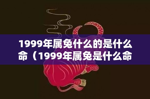 1999年属兔什么的是什么命（1999年属兔是什么命1999年属兔是什么命金木水火土）