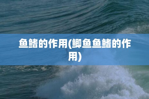 鱼鳍的作用(鲫鱼鱼鳍的作用)