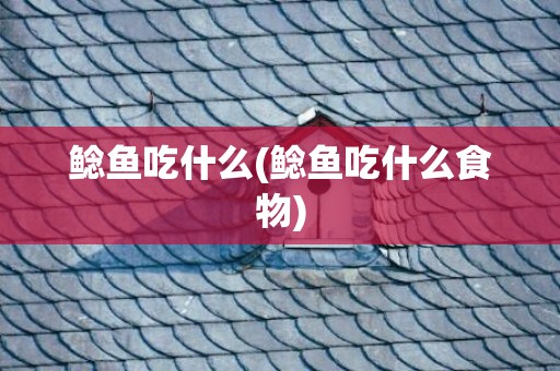 鲶鱼吃什么(鲶鱼吃什么食物)