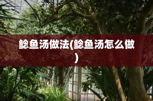 鲶鱼汤做法(鲶鱼汤怎么做)