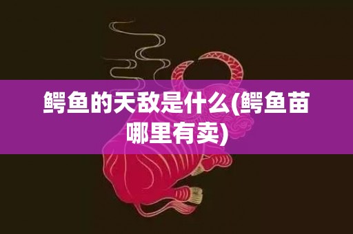 鳄鱼的天敌是什么(鳄鱼苗哪里有卖)