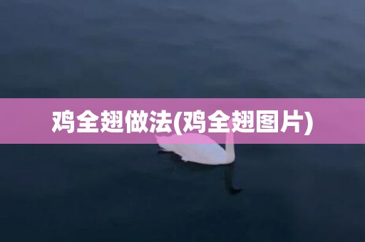 鸡全翅做法(鸡全翅图片)