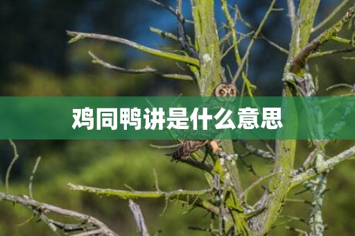 鸡同鸭讲是什么意思