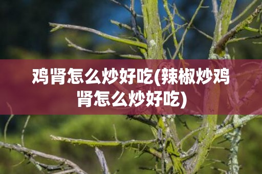 鸡肾怎么炒好吃(辣椒炒鸡肾怎么炒好吃)
