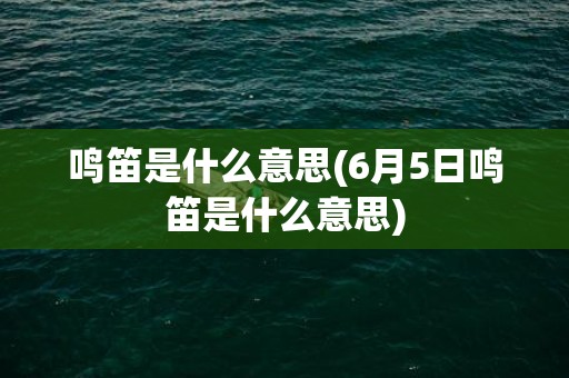 鸣笛是什么意思(6月5日鸣笛是什么意思)