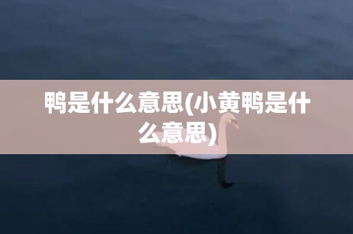 鸭是什么意思(小黄鸭是什么意思)