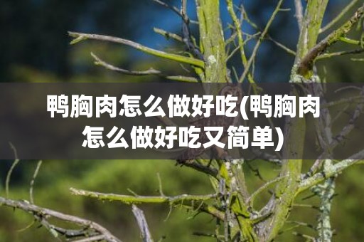鸭胸肉怎么做好吃(鸭胸肉怎么做好吃又简单)