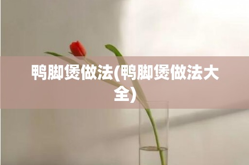 鸭脚煲做法(鸭脚煲做法大全)