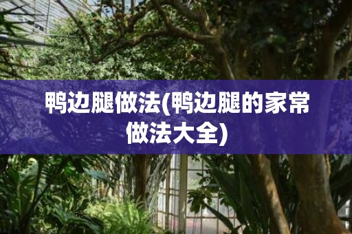 鸭边腿做法(鸭边腿的家常做法大全)