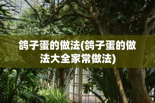 鸽子蛋的做法(鸽子蛋的做法大全家常做法)