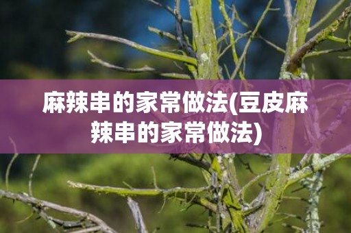 麻辣串的家常做法(豆皮麻辣串的家常做法)