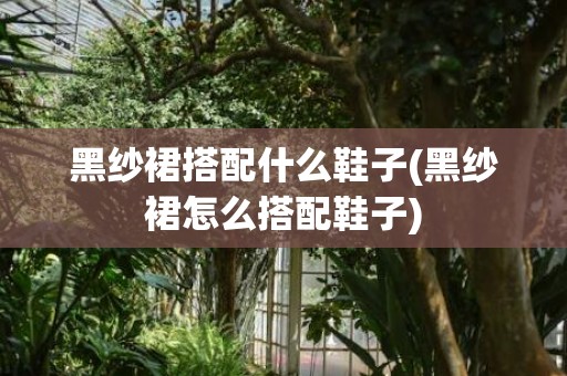 黑纱裙搭配什么鞋子(黑纱裙怎么搭配鞋子)