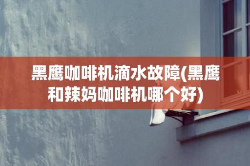 黑鹰咖啡机滴水故障(黑鹰和辣妈咖啡机哪个好)