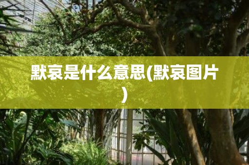 默哀是什么意思(默哀图片)