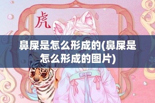 鼻屎是怎么形成的(鼻屎是怎么形成的图片)